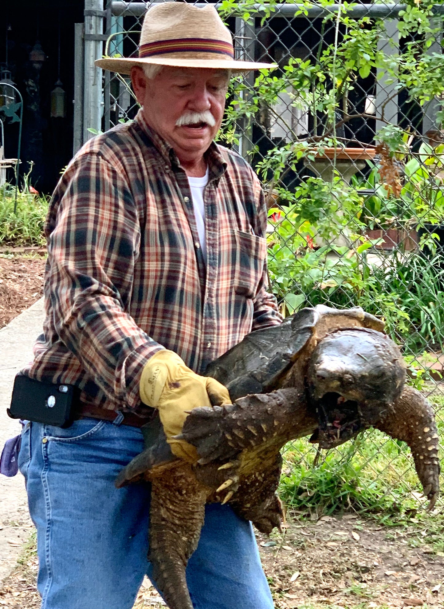 The Beast of Bayou Self: 140 Pounds of Ancient Thunder