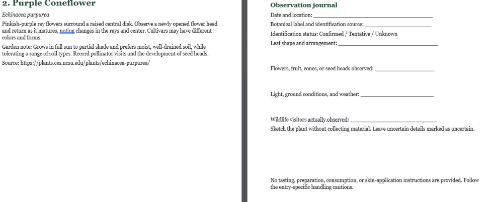 Interior preview of L’Apotik du Traiteur showing the Purple Coneflower botanical entry alongside an observation journal worksheet with space for plant details, seasonal observations, wildlife visitors, and sketches.